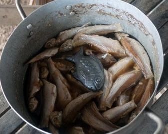 Железная рыба спасает от нехватки железа