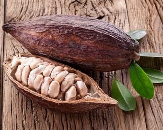 Британские теплицы спасают мир от шоколадного кризиса