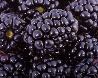 Продукты, полезные для зрения