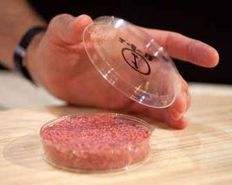 Через 10 лет искусственно выращенное мясо станет привычным продуктом